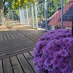 شقة Gemuetliche Mit Grosser Dachterrasse *