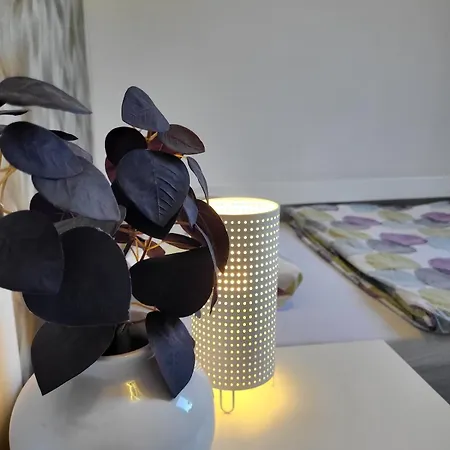 Apartment Gemuetliche Mit Grosser Dachterrasse