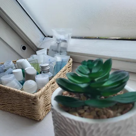 Gemuetliche Mit Grosser Dachterrasse Apartment